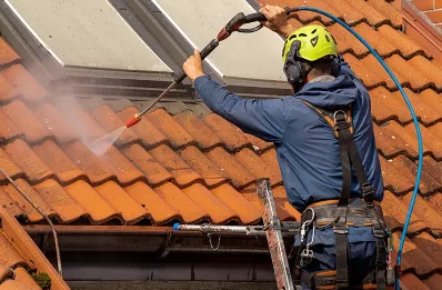 Démoussage et hydrofuge de toiture à Lasfaillades